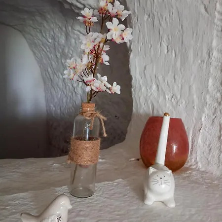 Maison Troglodytique Au Coeur Des Chateaux De La Loire - Le Cerisier Perche Luynes  Extérieur photo